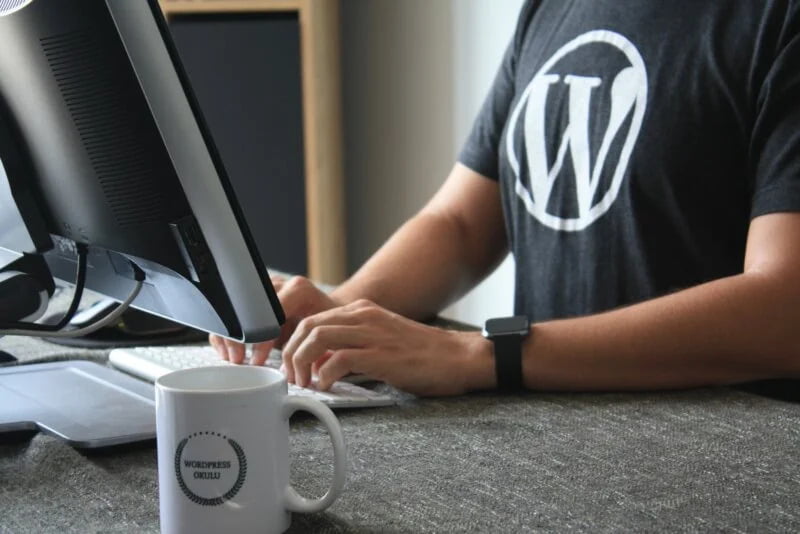 Learn WordPress In Just ONE Hour!